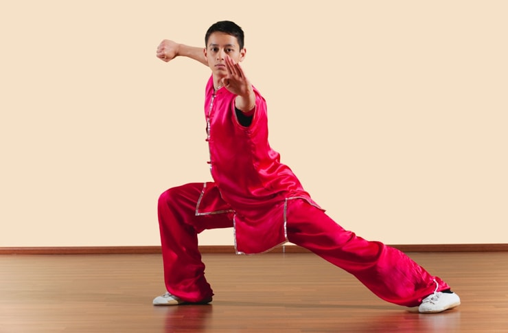 Styles of Chinese Martial Arts