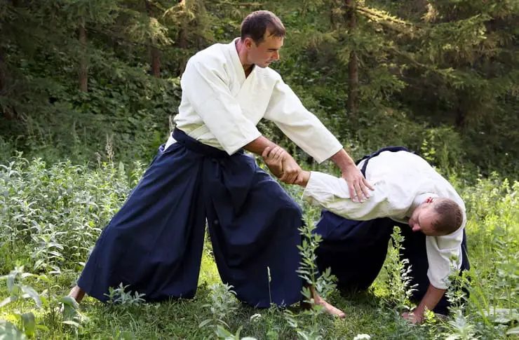 Aikido is considered a soft style