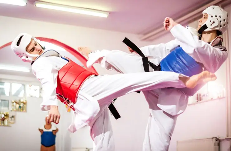 Basic Taekwondo Kicks