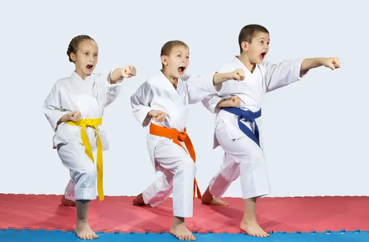 Different Belt Colors in Karate