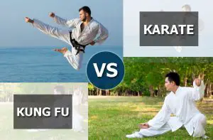 Karate vs Kung Fu.