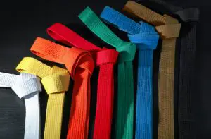 Order of Belts in Karate
