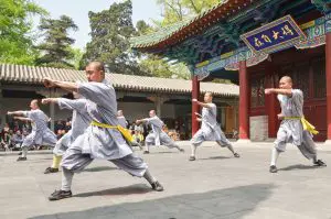 chinese martial arts kung fu shaolin monks